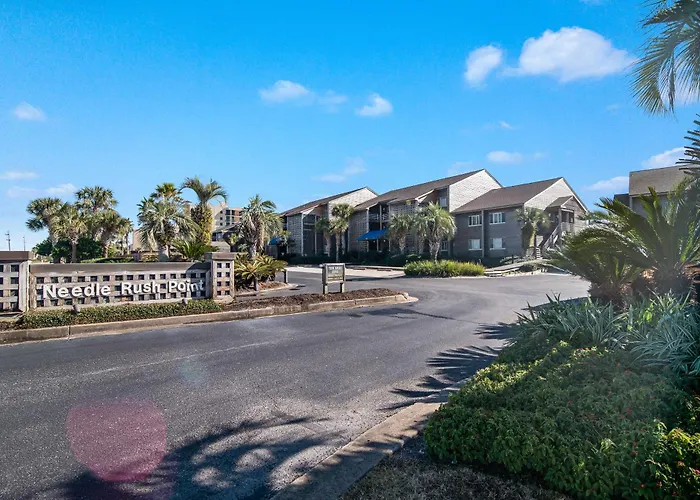 Needle Rush Point Unit E11 Pensacola