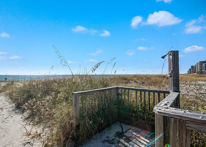 Needle Rush Point Unit E11 * Pensacola